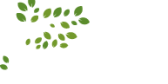 logo-web logo-web