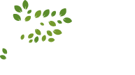 logo-web logo-web